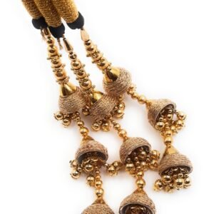 Simka Punjabi Paranda