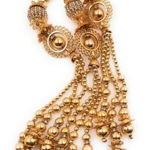 Simka Punjabi Paranda