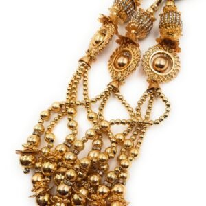 Simka Punjabi Paranda