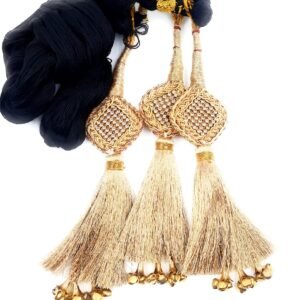 Simka Punjabi Paranda