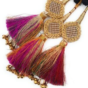 Simka Punjabi Paranda