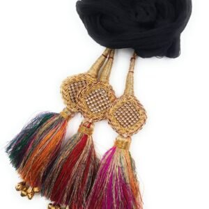 Simka Punjabi Paranda