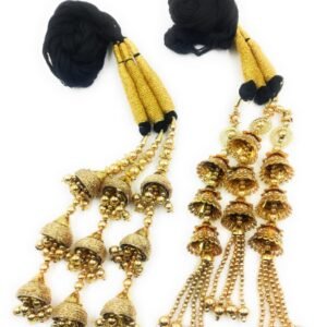 Simka Punjabi Paranda