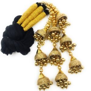 Simka Punjabi Paranda