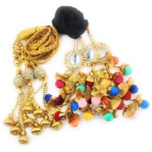 Simka Punjabi Paranda