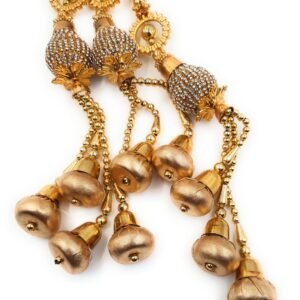 Simka Punjabi Paranda