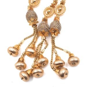 Simka Punjabi Paranda