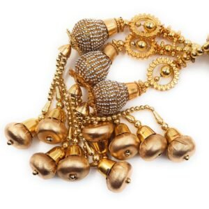 Simka Punjabi Paranda