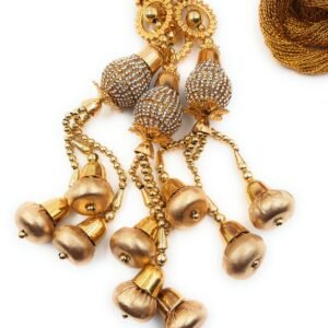 Simka Punjabi Paranda