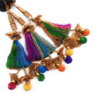 Simka Punjabi Paranda