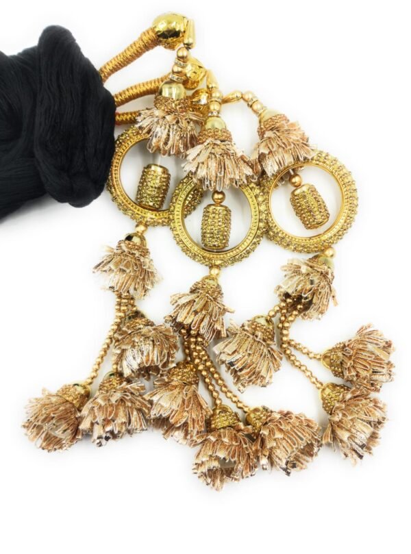 Simka Punjabi Paranda