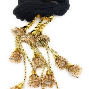 Simka Punjabi Paranda