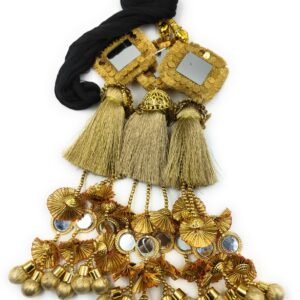 SIMKA Punjabi Paranda