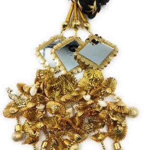 SIMKA Punjabi paranda