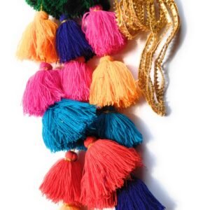 SIMKA Punjabi paranda