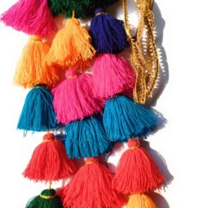 SIMKA Punjabi paranda