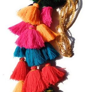 SIMKA Punjabi paranda