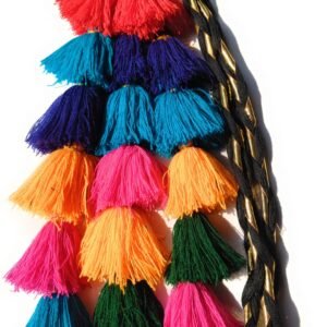 SIMKA Punjabi paranda